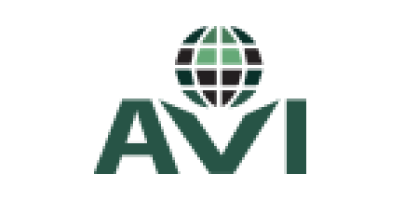 Avanzar Ventures International (AVI)
